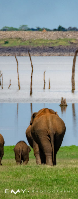 SRI LANKA